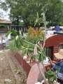 ../thumbnails/381-20230717_122643.jpg.small.jpeg