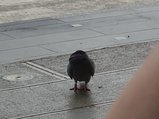 ../thumbnails/440-20230711_153325.jpg.small.jpeg