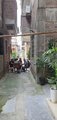 thumbnails/002-20250720_143506.jpg.small.jpeg