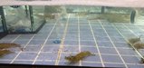 ../thumbnails/012-20250720_192314.jpg.small.jpeg