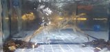 ../thumbnails/015-20250720_192341.jpg.small.jpeg