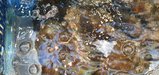 ../thumbnails/020-20250720_192426.jpg.small.jpeg