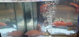 ../thumbnails/022-20250720_192523.jpg.small.jpeg