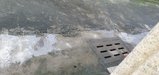 ../thumbnails/032-20250721_110819.jpg.small.jpeg