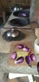 ../thumbnails/033-20250721_110853.jpg.small.jpeg