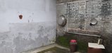 ../thumbnails/034-20250721_110935.jpg.small.jpeg