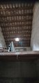 ../thumbnails/040-20250721_111225.jpg.small.jpeg