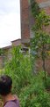 ../thumbnails/042-20250721_112838.jpg.small.jpeg