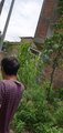 ../thumbnails/043-20250721_112840.jpg.small.jpeg