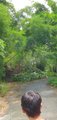../thumbnails/045-20250721_112924.jpg.small.jpeg