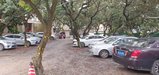 ../thumbnails/048-20250721_130410.jpg.small.jpeg