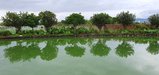 ../thumbnails/059-20250721_145636.jpg.small.jpeg